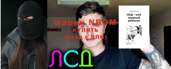 бошки Богородицк