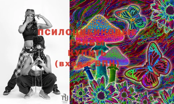 бошки Богородицк