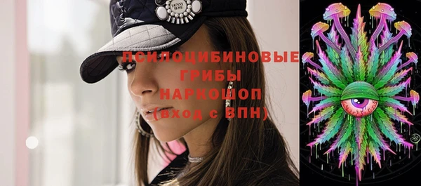 прущий лед Богородск