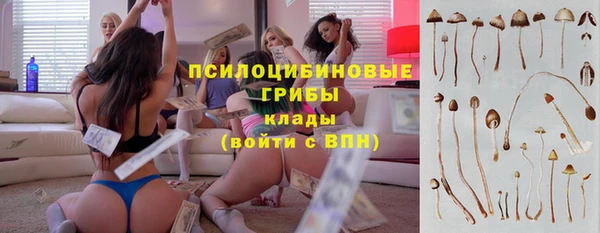 бошки Богородицк